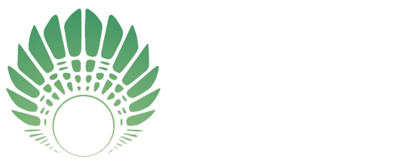 Chamanismo / Chamanes España